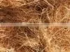 Golden Brown Coconut Coir thumbnail-1
