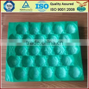 Customed Fruit Vacuum Thermoformed Plastic Tray thumbnail-1