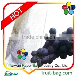 Taiwan Grape Growing Paper Bags to Cover Grapes Customized Protection Bag thumbnail-1