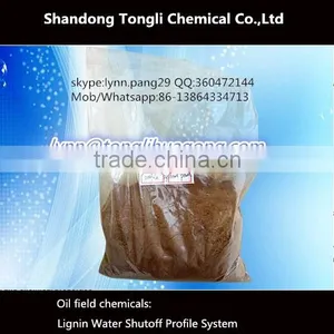 Lignin Water Shutoff Profile System thumbnail-1