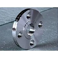 Stainless Steel Flanges Pipe Flanges thumbnail-1