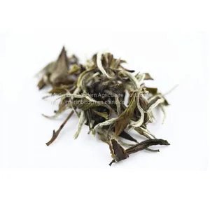 Private Label Detox Tea Herbal Health White Teas for Slim Fit Tea thumbnail-1