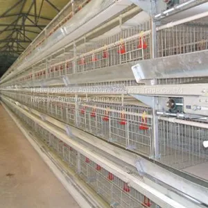 Breeding Cages thumbnail-1