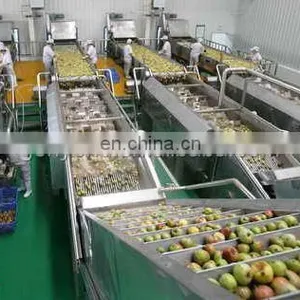 Shanghai Genyond Factory Compound Apple Juice Pressing Equipment Extractor Extracting Machine Plant Fruit Juicer Machine thumbnail-2