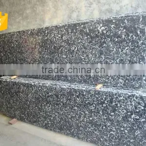 Cheaper Superior Supply Black Fossil Marble Decorative Wall Tile thumbnail-3
