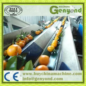 Apple Dates Size Grading Sorting Machine/mango Fruit Grading Machine thumbnail-2