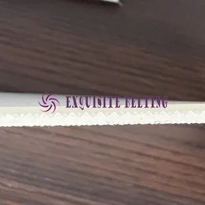 PU Transparent Conveyor Belt thumbnail-1