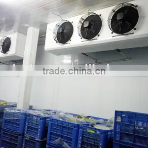 Industrial Evaporator for Quick-freezing Cold Room thumbnail-5
