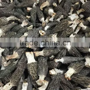 Price of Black Morel Mushroom thumbnail-1