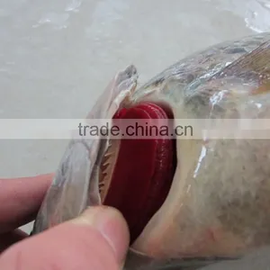 Gutted & Scaled Tilapia Frozen Clean Fish thumbnail-2