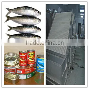 Sardine Fish Screening Machine thumbnail-1
