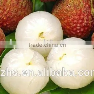 Canned Lychee Canned Fruit thumbnail-1