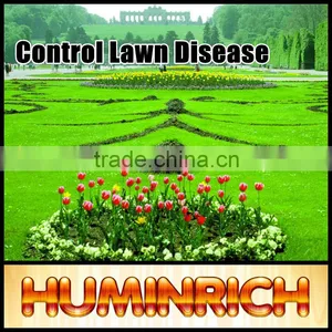 Huminrich Shenyang 2-4mm Granulated Humic Acid Fertilizer From Coal thumbnail-1