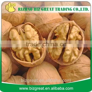 China OriginBulk Walnut in Shell thumbnail-1