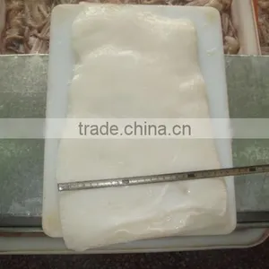 Giant Squid Fillet thumbnail-4