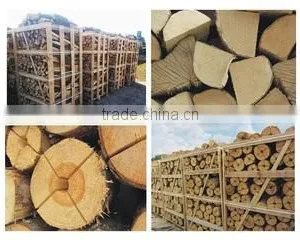 Jsc Woodbioma company overview - view 1 thumbnail