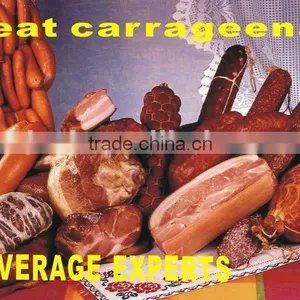 Carageenan Powder for Sausage thumbnail-1