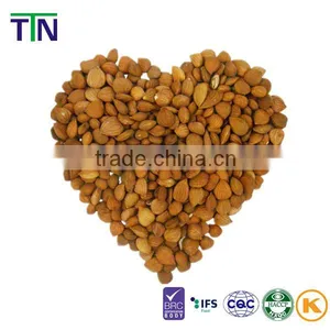 TTN 2015 Raw Almond Wholesale Exporter Price Almond for Sale thumbnail-6