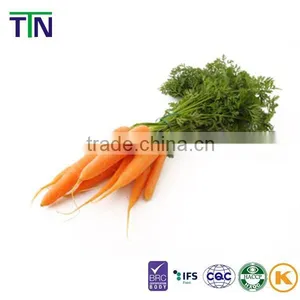 TTN Freeze Dried Vegetables Powder Dried Carrot Powder thumbnail-2