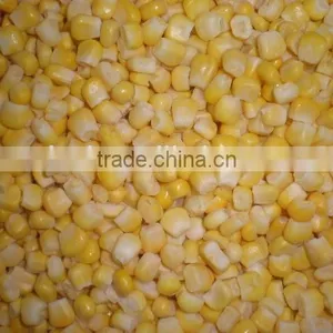 Best Price Frozen Sweet Yellow Corn thumbnail-1