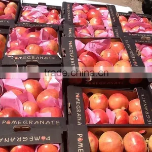 Fresh Pomegranate thumbnail-1