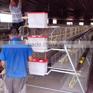 Anping Factory Chicken Egg Laying Cage for Farm thumbnail-5