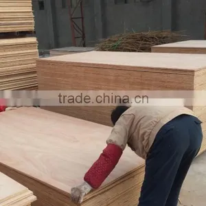 Shandong Multi Wood Sheets With Best Quality thumbnail-2