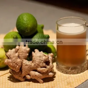 VIETNAM OLD FRESH GINGER SUPPLIER COMPETITIVE PRICE thumbnail-5