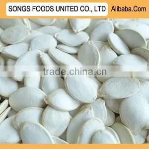 Unroasted and Unsalted Snow Pumpkin Seed thumbnail-1