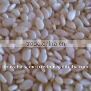 White Sesame Seed Hulled Variety thumbnail-1