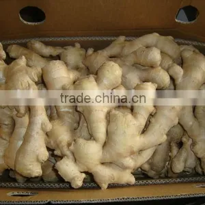 Chinese Wholesale Air Dry Ginger Market Prices for Ginger thumbnail-3
