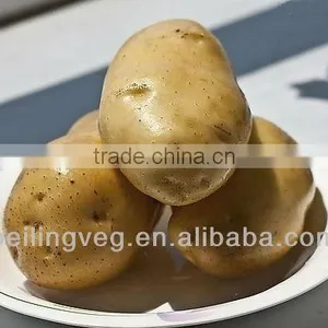 Frozen Fresh Potato Export to Dubai thumbnail-1