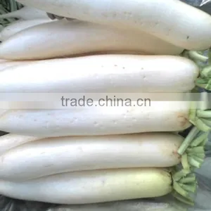 Fresh Vegetable( Carrot ,giner,onion,potato,garlic,taro thumbnail-5