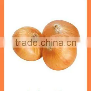 Fresh New Crop Yellow Onion PRODUCTS From China thumbnail-4