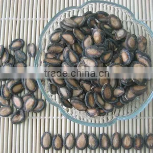 Chinese Fresh Black Watermelon Seeds Kernels thumbnail-1