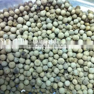 HIGH QUALITY WHITE PEPPER FROM VIETNAM WITH BEST PRICE thumbnail-4