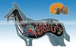 Relief Model of Dog thumbnail-1