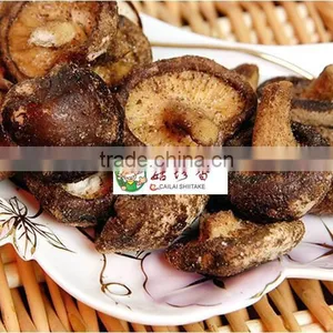 VF Drying Process and Brown Color Mushroom Chips thumbnail-2