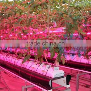 Agricultural Greenhouse Light thumbnail-2