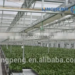 Multi Span Polycarbonate Sheet Greenhouse thumbnail-2