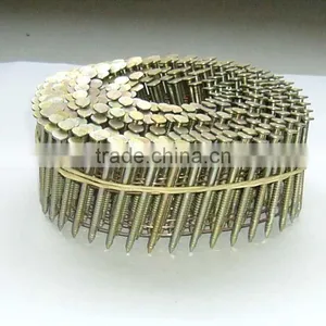 Coil Nails thumbnail-1