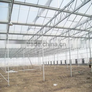 Multi Span Tunnel PE Plastic Film Hydroponic Systems Agricultural Commercial Greenhouse thumbnail-1
