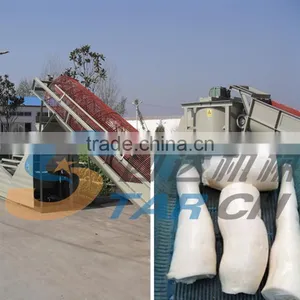 Hot Sale Competitive Price Yam Washing and Peeling Machine in Nigeria thumbnail-1