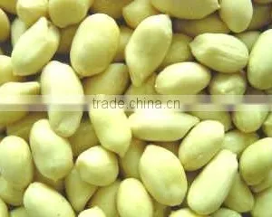 Peanut Kernal Cocoa Kernal Classify Machine Line/ Z Shape Conveyor/ Z Shape Elevator thumbnail-3