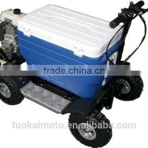 Hot Sale 48L 43cc EPA Gas Cooler Scooter/camping Scooter (TKS-S43) thumbnail-1