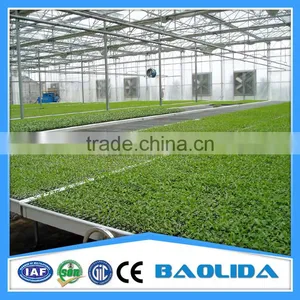 Multi-span Greenhouse thumbnail-2