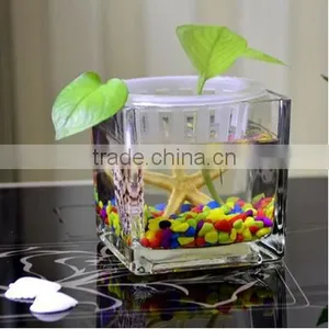 Home Table Decoration Square Clear Glass Plant Hydroponic Container Flower Vases thumbnail-3