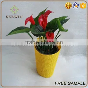 Paper Mesh Pot Covers for Plants thumbnail-1