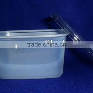 Disposable Fast Food Container/PS Fast Food Container thumbnail-1