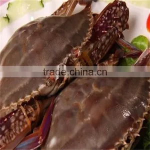Frozen Chilled Good Quality Yummy Blue Swimming Crab thumbnail-1